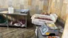 Polícia apreende meia tonelada de carnes e queijos impróprios para consumo em cidade da RMS