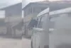 Cavalo transportado em Kombi chama atenção em rua movimentada de Pernambuco
