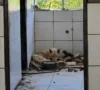 Cães em situação de maus-tratos são resgatados pela Polícia Civil em Santo Estêvão