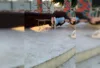 Imagem de Santo Antônio aparece quebrada em praça de SAJ e causa indignação em internauta