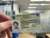 Bahia passa a emitir nova Carteira de Identidade Nacional em cartão; veja como solicitar