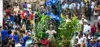 Desfile da Independência na Bahia deve ocorrer com céu nublado e chance de chuva em Salvador