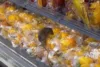 Rato é flagrado em prateleira de hortaliças de supermercado em Alphaville, Salvador