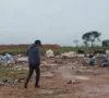 Cãozinho é encontrado sem forças em aterro sanitário e ganha nova chance após resgate