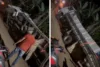 Caminhão carregado de bananas tomba na Serra do Rato, em Mutuípe