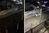 Moradores reclamam de falta de iluminação no bairro Quitandinha, em SAJ: "Estamos às escuras"