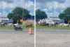 Motorista denuncia animais soltos na BR-101, em Santo Antônio de Jesus, e alerta para risco de acidentes