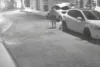 VÍDEO: Mulher é atacada por cachorro durante passeio com animal de estimação em Santo Antônio de Jesus