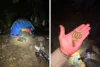 Polícia enfrenta grupo armado, destrói acampamento e apreende drogas em Muniz Ferreira
