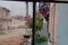 Homem é flagrado furtando galinhas após pular muro de casa em Alagoinhas