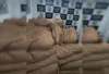 Polícia recupera quase 3 toneladas de pó de cacau avaliadas em mais de R$ 280 mil na Bahia