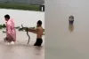 Enchentes na China deixam cobras venenosas e animais de zoológico soltos após passagem de tufão