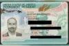 Governo dos EUA concede green card a Eduardo Bolsonaro
