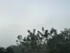 Depois de vendaval e chuva na última semana, cidades amanhecem com neblina e possibilidade de sol firme